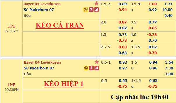 Leverkusen-vs-Paderborn