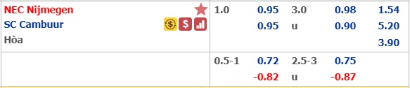 Soi kèo bóng đá NEC Nijmegen vs Cambuur