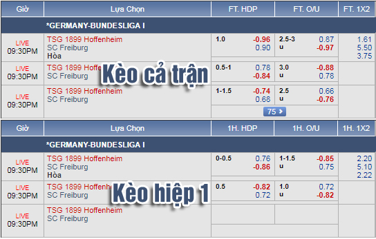 Nhận định bóng đá Hoffenheim vs Freiburg, 20h30 ngày 01/9: VĐQG Đức