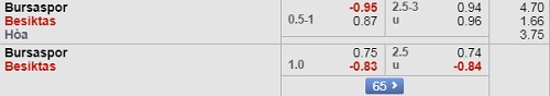 Nhận định Bursaspor vs Besiktas, 0h45 ngày 03/9