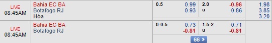 Nhận định Bahia vs Botafogo, 07h45 ngày 21/9: Copa Sudamericana