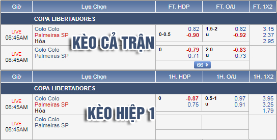 Nhận định bóng đá Colo Colo vs Palmeiras, 07h45 ngày 21/9: Copa Libertadores