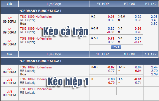 Nhận định bóng đá Hoffenheim vs RB Leipzig, 20h30 ngày 29/9: VĐQG Đức