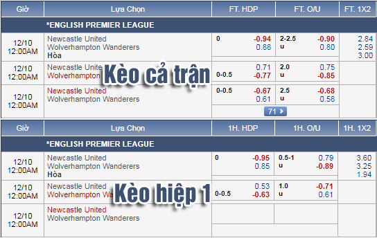 Nhận định bóng đá Newcastle vs Wolves, 23h00 ngày 09/12: Ngoại Hạng Anh