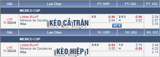 Nhận định bóng đá Lobos BUAP vs Zacatecas, 10h00 ngày 09/1: Cúp QG Mexico