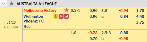 Nhận định bóng đá Melbourne Victory vs Wellington, 13h00 ngày 20/1: VĐQG Australia
