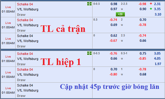 CHỐT KÈO TRỰC TIẾP trận Schalke vs Wolfsburg
