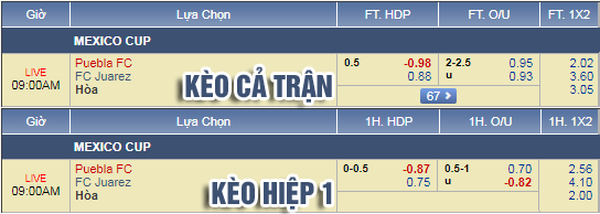 Nhận định bóng đá Puebla vs Juarez, 08h00 ngày 23/1: Cúp QG Mexico
