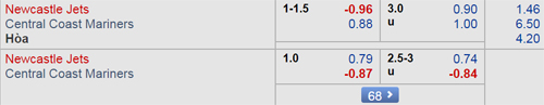 Nhận định Newcastle Jets vs Central Coast, 15h50 ngày 23/1