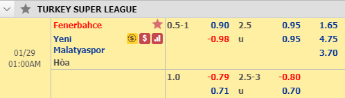 Nhận định bóng đá Fenerbahce vs Yeni Malatyaspor, 00h00 ngày 29/1: VĐQG Thổ Nhĩ Kỳ