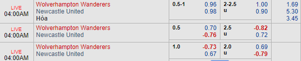 Nhận định bóng đá Wolves vs Newcastle, 03h00 ngày 12/02: Ngoại hạng Anh
