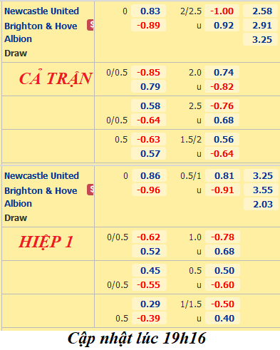 Newcastle-vs-Brighton