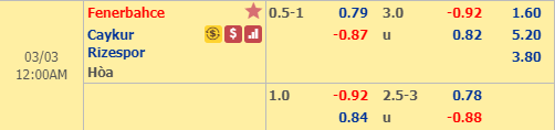 Nhận định bóng đá Fenerbahce vs Rizespor, 23h00 ngày 2/3: VĐQG Thổ Nhĩ Kỳ