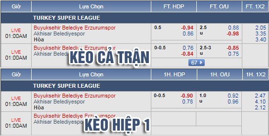 Nhận định bóng đá Erzurum BB vs Akhisarspor, 00h00 ngày 16/4: VĐQG Thổ Nhĩ Kỳ
