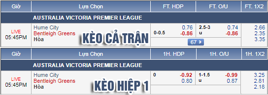 Nhận định bóng đá Hume City vs Bentleigh Greens, 16h45 ngày 21/6: VĐ Bang Victoria - Australia