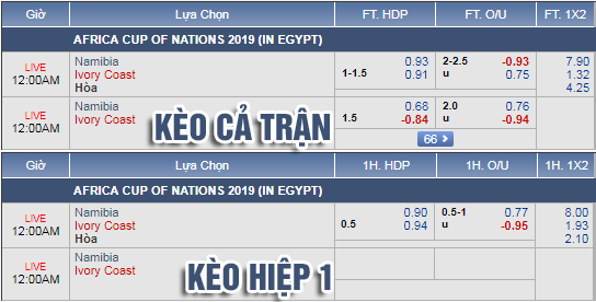 Nhận định bóng đá Namibia vs Bờ Biển Ngà, 23h00 ngày 01/7: CAN Cup 2019