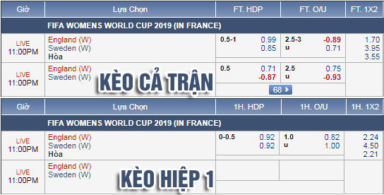 Nhận định bóng đá Nữ Anh vs Nữ Thụy Điển, 22h00 ngày 06/7: VCK Nữ Thế giới 2019