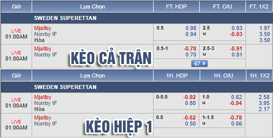 Nhận định bóng đá Mjallby vs Norrby, 00h00 ngày 02/8: Hạng 2 Thuỵ Điển