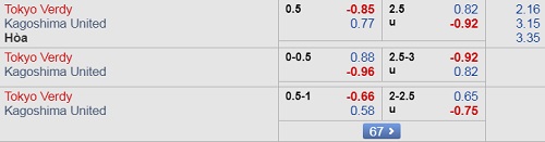 Nhận định Tokyo Verdy vs Kagoshima United, 17h00 ngày 11/8