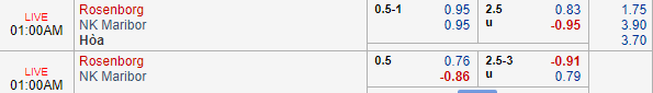 Nhận định bóng đá Rosenborg vs Maribor, 00h00 ngày 14/08: UEFA Champions League