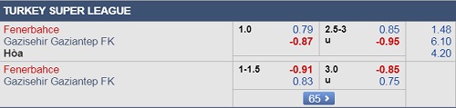 Nhận định Fenerbahce vs Gaziantep, 00h00 ngày 20/8