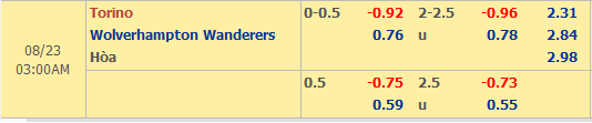 Torino-vs-Wolves