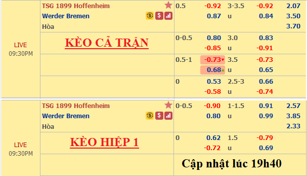 Hoffenheim-vs-Bremen