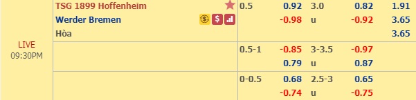 Nhận định Hoffenheim vs Bremen, 20h30 ngày 24/8: VĐQG Đức
