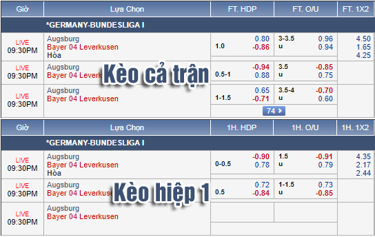 Nhận định bóng đá Augsburg vs Leverkusen, 20h30 ngày 28/9: VĐQG Đức