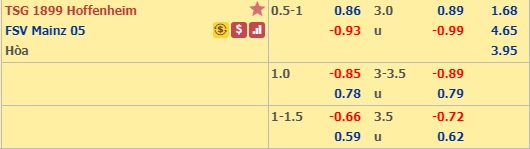 Nhận định Hoffenheim vs Mainz