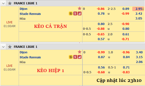 Dijon-vs-Rennes