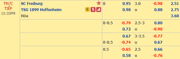 Nhận định bóng đá Freiburg vs Hoffenheim, 21h30 ngày 08/02: VĐQG Đức