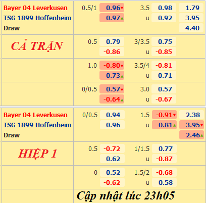 Leverkusen-vs-Hoffenheim