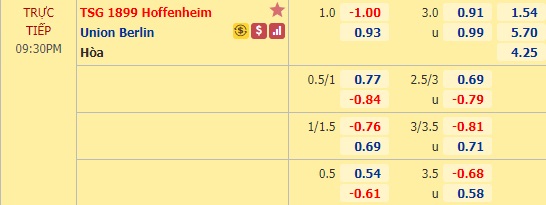 Nhận định soi kèo Hoffenheim vs Union Berlin, 20h30 ngày 20/5: VĐQG Đức