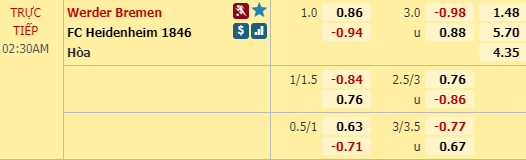 Nhận định bóng đá trận Bremen vs Heidenheim trong khuôn khổ play-off giải VĐQG Đức