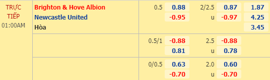 Nhận định soi kèo Brighton vs Newcastle, 00h00 ngày 21/07: Ngoại hạng Anh
