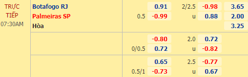 Nhận định soi kèo Botafogo RJ vs Palmeiras, 07h30 ngày 08/10: VĐQG Brazil