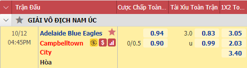 Nhận định soi kèo bóng đá Blue Eagles vs Campbelltown City, 16h45 ngày 12/10: Vô địch Nam Australia