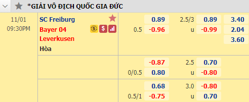 Nhận định bóng đá Freiburg vs Leverkusen, 21h30 ngày 1/11: VĐQG Đức