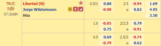 Nhận định bóng đá  Libertad vs Jorge Wilstermann, 07h30 ngày 26/11: Copa Libertadores