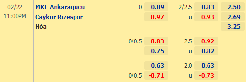Nhận định bóng đá Ankaragucu vs Rizespor, 23h00 ngày 22/02: VĐQG Thổ Nhĩ Kỳ