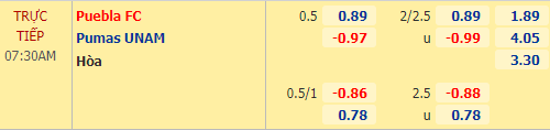 Nhận định bóng đá Puebla vs Pumas UNAM, 07h30 ngày 24/04: VĐQG Mexico