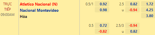Nhận định bóng đá Atletico Nacional vs Nacional Montevideo, 09h00 ngày 13/05: Copa Libertadores
