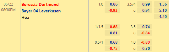 Nhận định bóng đá Dortmund vs Leverkusen, 20h30 ngày 22/05: VĐQG Đức