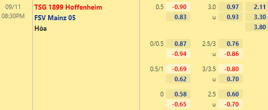 Nhận định bóng đá Hoffenheim vs Mainz, 20h30 ngày 11/09: VĐQG Đức
