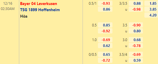 Nhận định bóng đá Leverkusen vs Hoffenheim, 02h30 ngày 16/12: VĐQG Đức