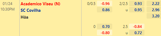 Nhận định bóng đá Academico Viseu vs SC Covilha, 22h30 ngày 24/01: Hạng 2 Bồ Đào Nha