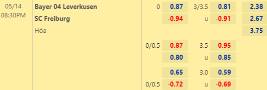 Nhận định bóng đá Leverkusen vs Freiburg, 20h30 ngày 14/05: VĐQG Đức