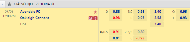 Nhận định bóng đá Avondale vs Oakleigh Cannons, 12h00 ngày 9/7: Vô địch bang Úc