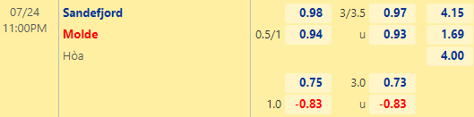 Nhận định bóng đá Sandefjord vs Molde, 23h00 ngày 24/07: VĐQG Na Uy